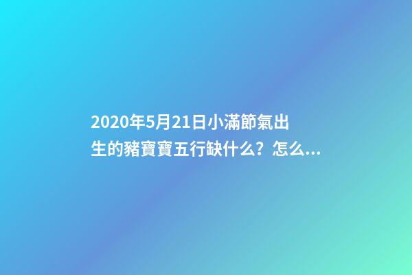 2020年5月21日小滿節氣出生的豬寶寶五行缺什么？怎么化解？ 84年5月21日五行屬什么，1984年屬鼠的五行屬什么-第1張-觀點-玄機派